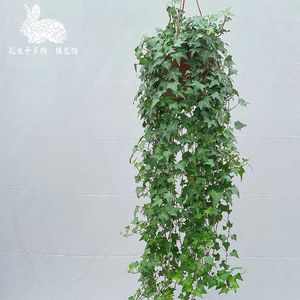 《复古放克贝斯律动中的潮流时尚018