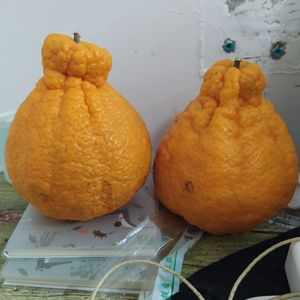 缘意