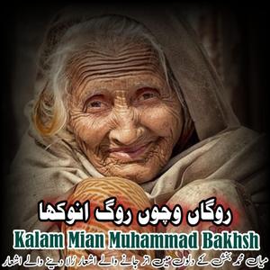 Rogha Vicho Rogh Anokha Punjabi Kalam Mian Muhammad Bakhsh Saif ul Malook #mianmuhammadbakhsh #saifulmalook