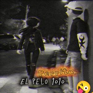 EL PELO (PERRITA)