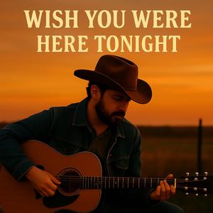 Wish You Were Here Tonight