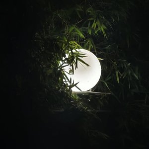 你眼里有光，我不惧世界荒唐