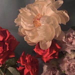 别来无恙（翻自 李佳薇）