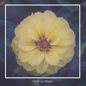 Dripplets on the Window