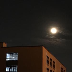 在夜里(prod by FRESH_ye)