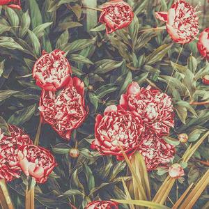 "Growing Strong"(instrumental)