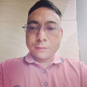 楠树风语