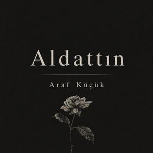 Aldattın