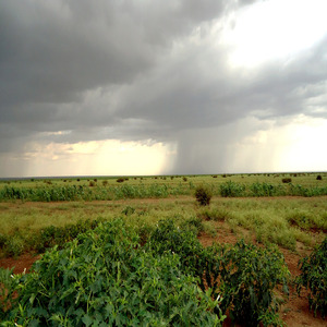 Nobody Want to Be Lonely.