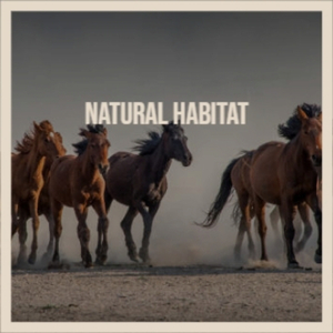 I Wanna Do It All Again