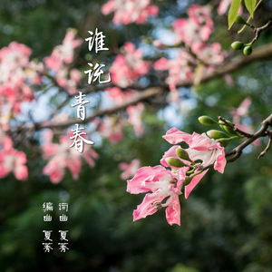 谁说青春（钢琴曲）