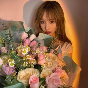 花落山谷(纯音乐)