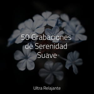 Invenciones Celestes