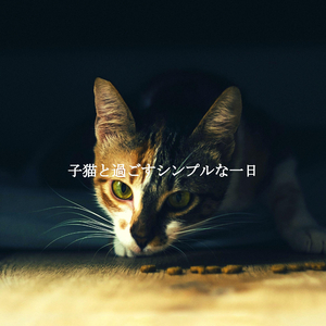 Phenomenal Music for Quiet Wednesdays