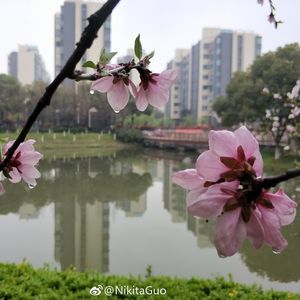 且听风雨(竹笛版) 伴奏