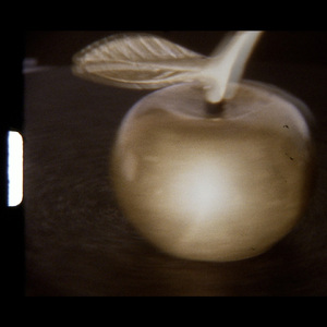 ZAHARA (feat.中川理沙)