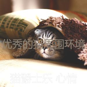 有趣小猫情怀