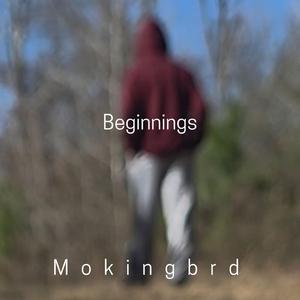 No Control (feat. Evergreenplayz)