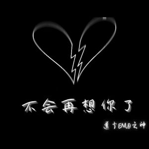 不会再想你了