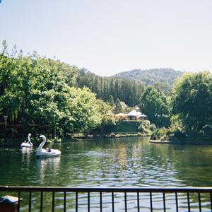 Guitar Song for Melissa #1