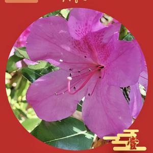 祖国母亲，我爱你