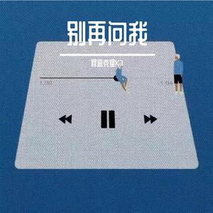 别再问我
