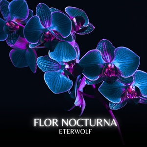 Flor Nocturna