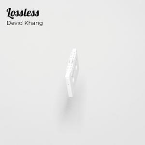 Lossless