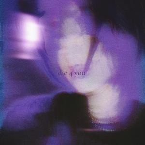 die 4 you