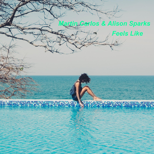 Feels Like (Radio Edit)