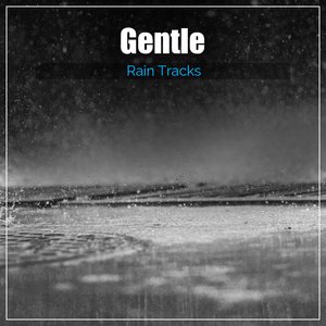 Rain Sound Meditation