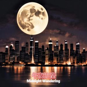 午夜彷徨 Midnight Wandering