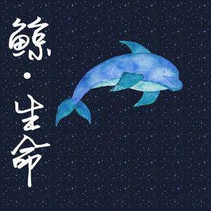 鲸·生命