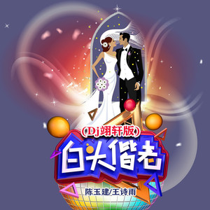 白头偕老 (Dj翊轩版伴奏)