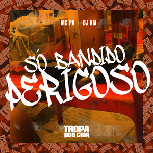 Só Bandido Perigoso