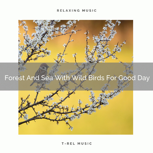 Nature Sings With Windblows And Wild Stream Flowing