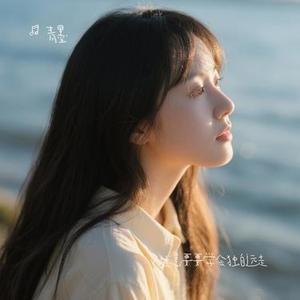 人生总要要学会独自远走 (Cover 禹登登)