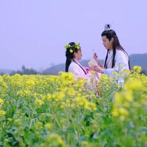 风一样的我（翻自 叶炫清）