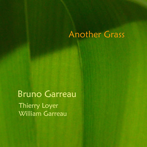 Like a Shooting Star