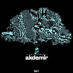akdemir