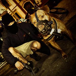 Mas ilegales que legales (feat. Transeúnte EMK & The B EMK)