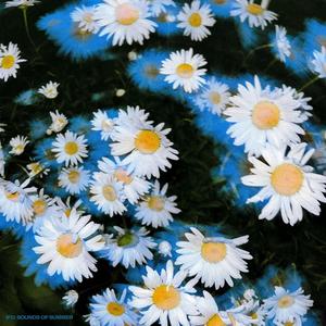 clouds don’t miss us