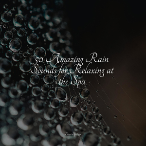 Ocean, Waves, Splashing