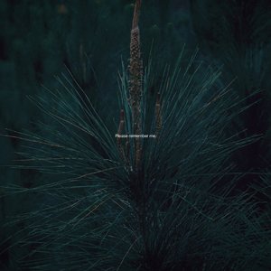 ﹏﹉﹌﹌﹌﹌﹊‡‡‡