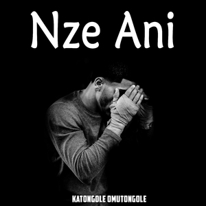 Nze Ani