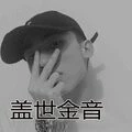向青春致敬 (Remix)