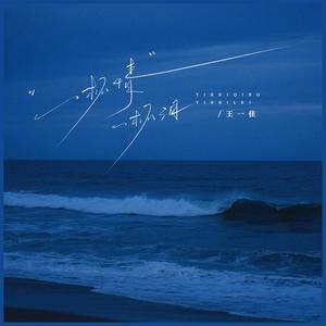 一杯情一杯泪 (DJ版)