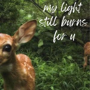 my light still burns for u