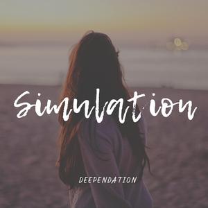 Simulation