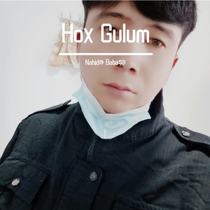 Hox Gulum